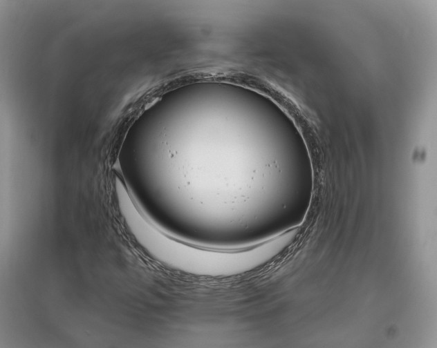 X0000097591447200803141844