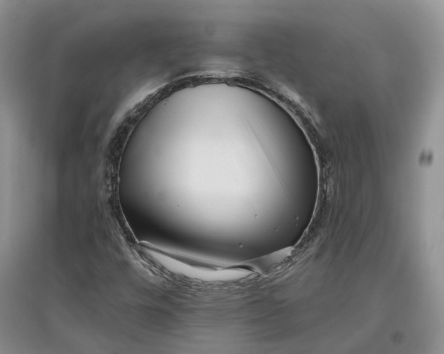 X0000097591448200803141844