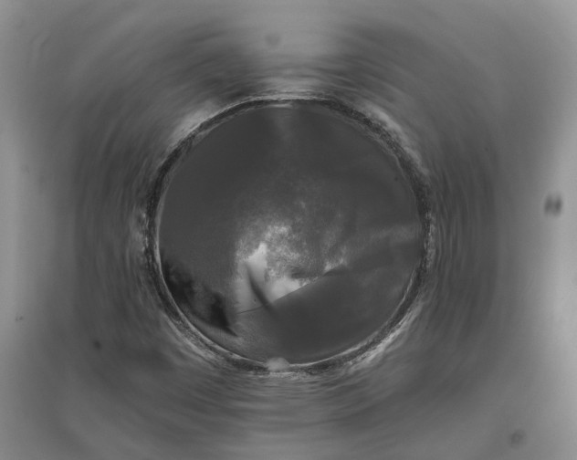 X0000097591449200803141844