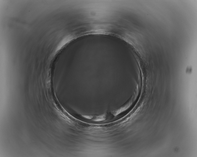 X0000097591450200803141844