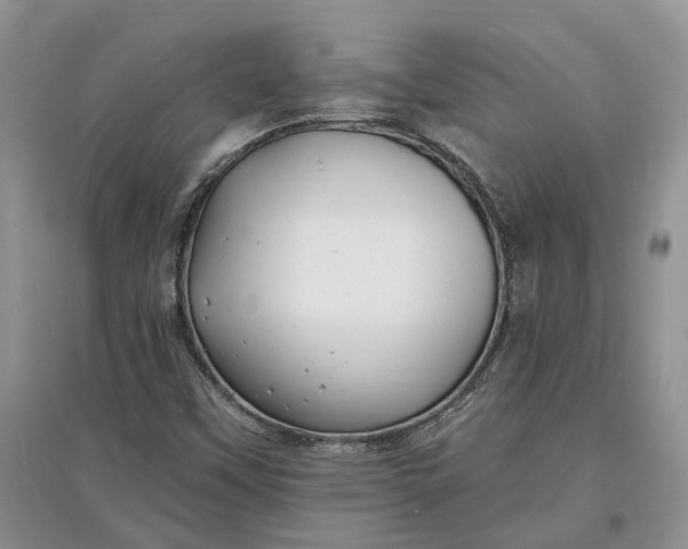 X0000097591451200803141844