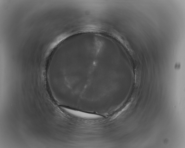 X0000097591453200803141844