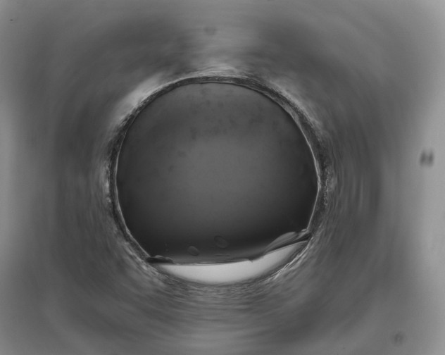 X0000097591455200803141844