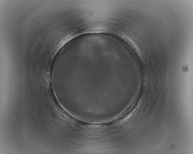 X0000097591457200803141844