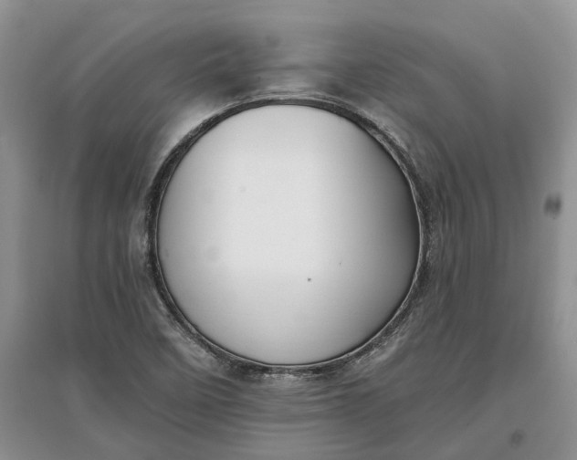 X0000097591458200803141844