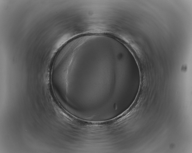 X0000097591459200803141844