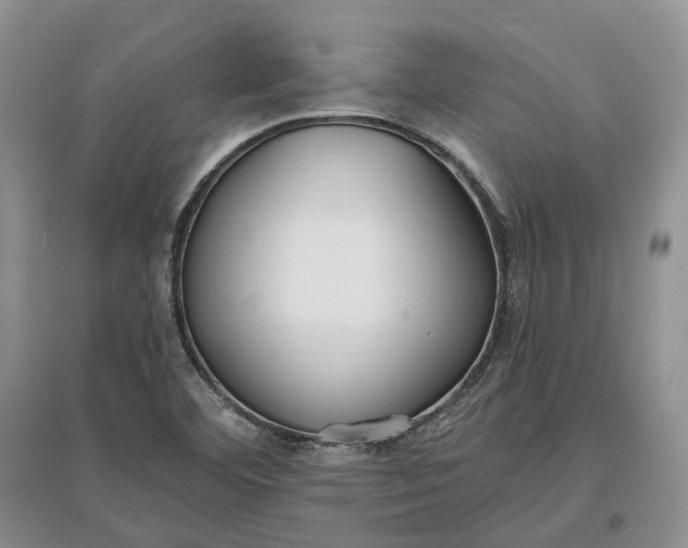 X0000097591460200803141844