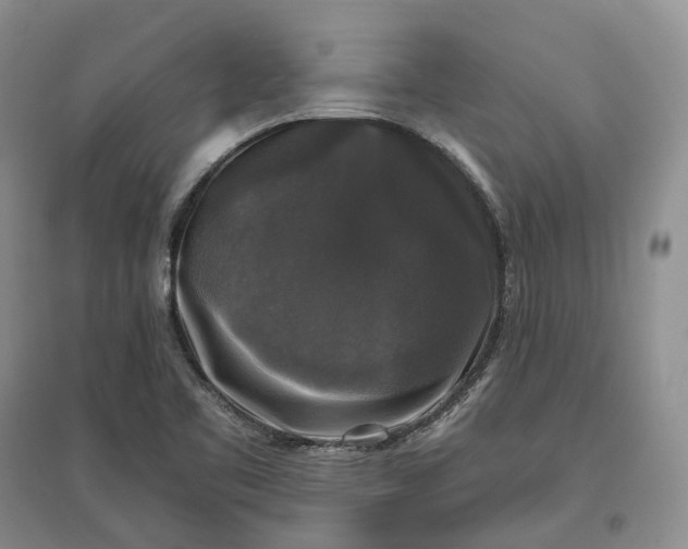 X0000097591461200803141844