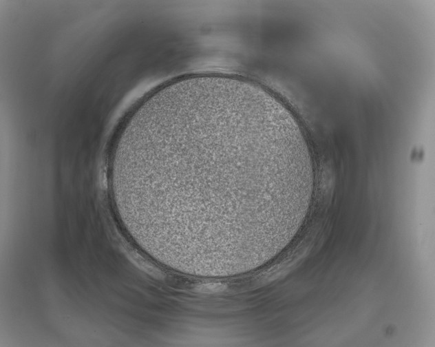 X0000097591462200803141844