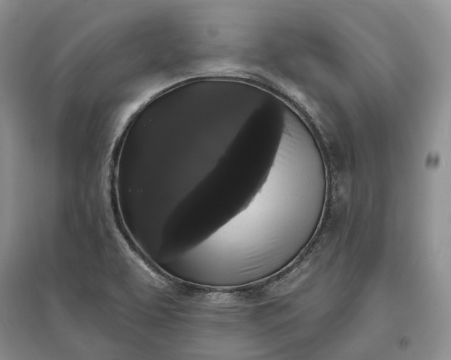 X0000097591463200803141844