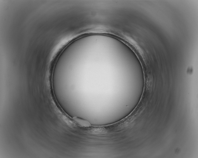 X0000097591464200803141844