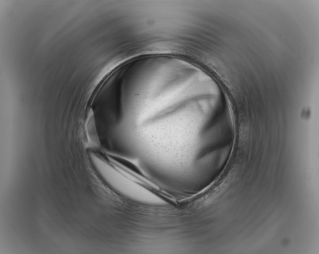 X0000097591465200803141844