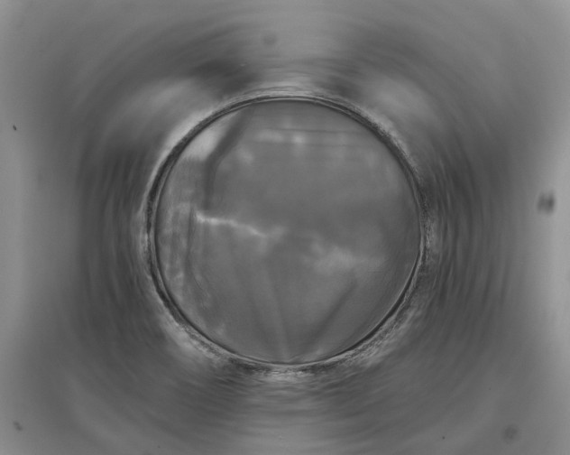 X0000097591466200803141844