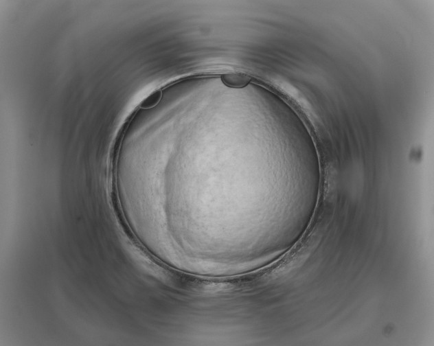 X0000097591467200803141844