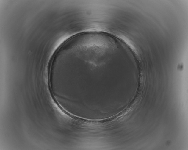 X0000097591468200803141844