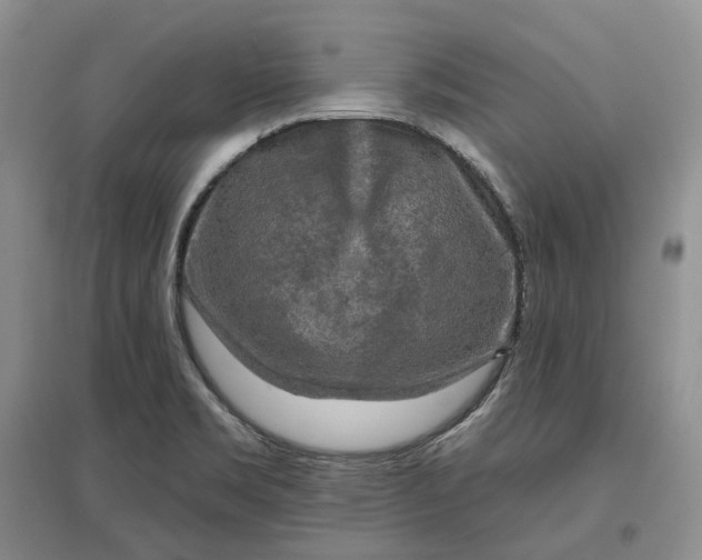 X0000097591469200803141844