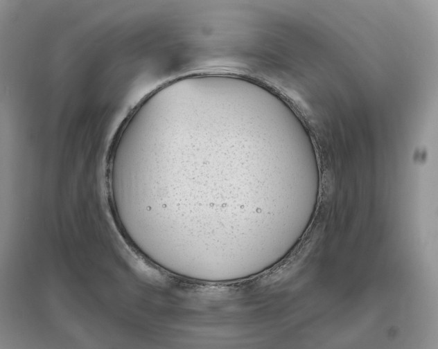 X0000097591470200803141844