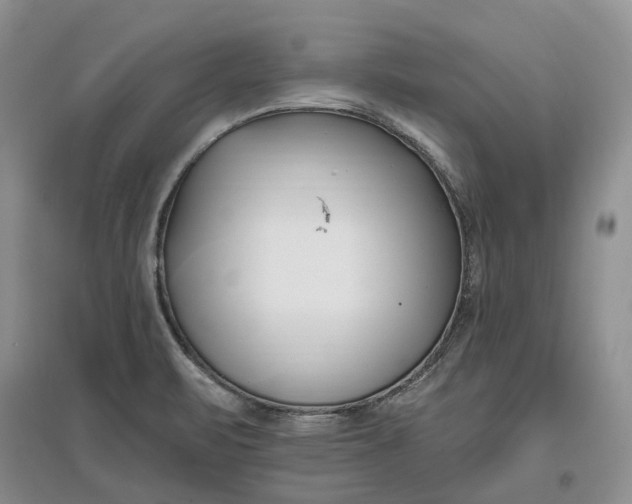 X0000097591471200803141844