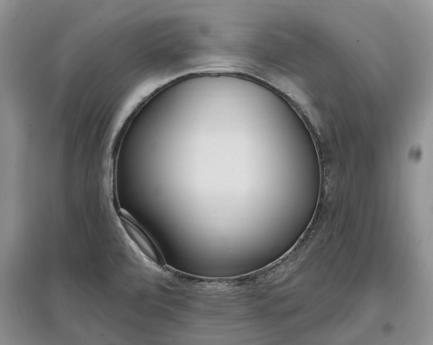 X0000097591472200803141844