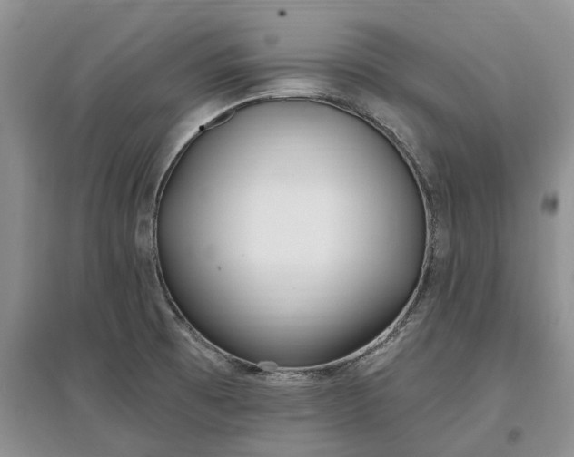 X0000097591473200803141844