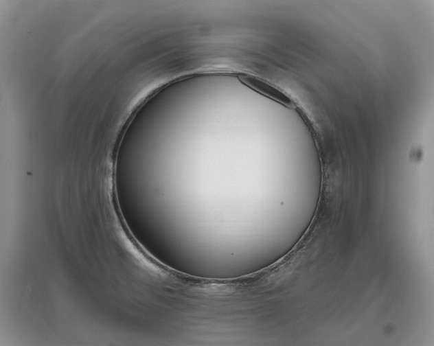 X0000097591476200803141844