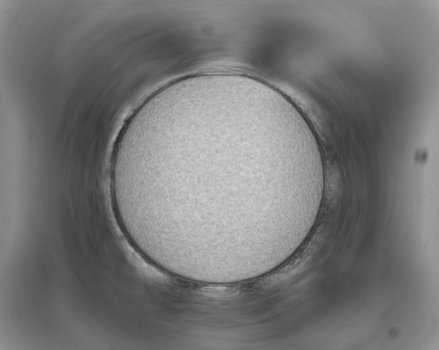 X0000097591478200803141844