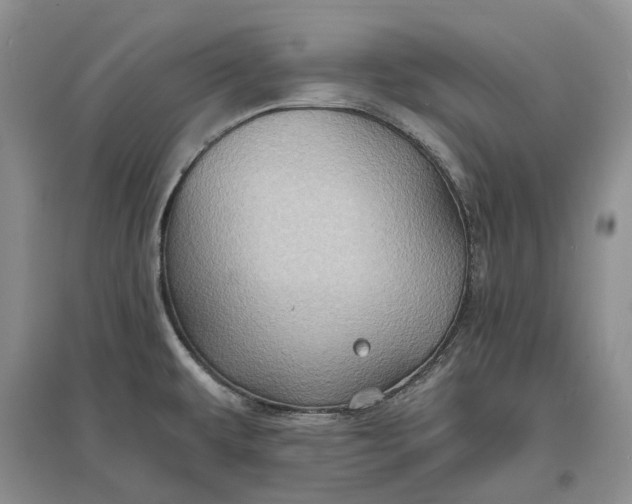 X0000097591479200803141843