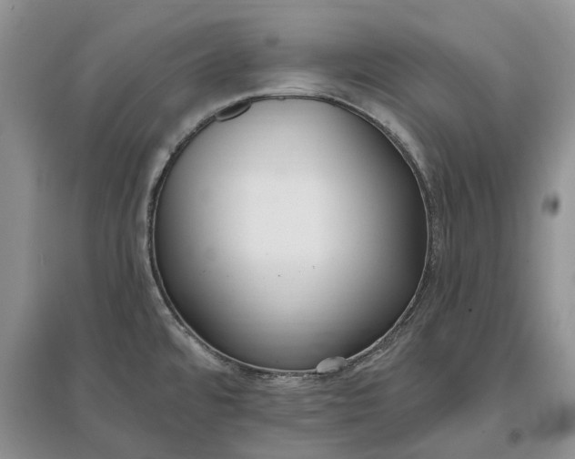 X0000097591480200803141843