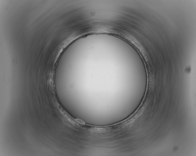 X0000097591481200803141843