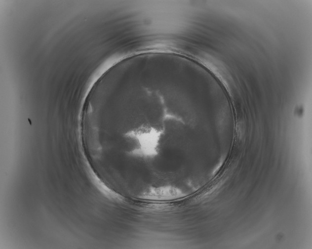 X0000097591482200803141843