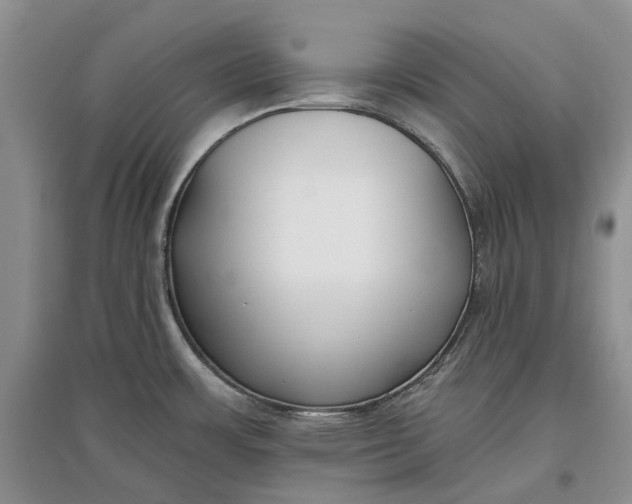 X0000097591483200803141843