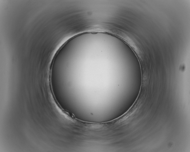 X0000097591484200803141843