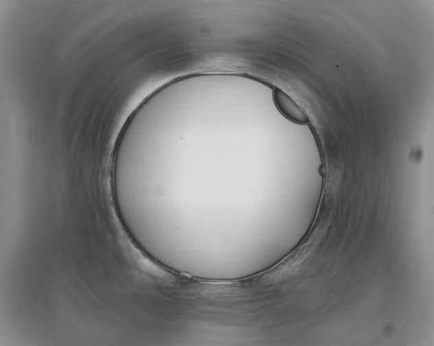 X0000097591486200803141843