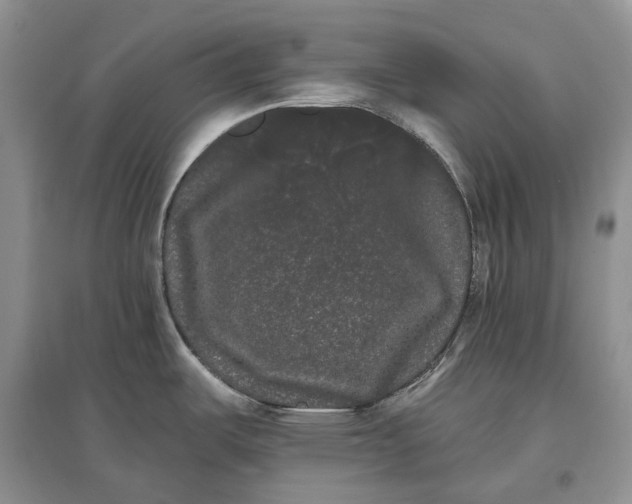 X0000097591487200803141843