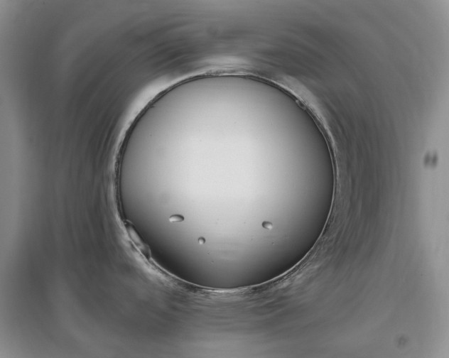 X0000097591488200803141843