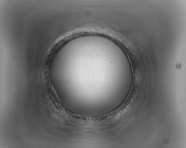 X0000097591494200803141843