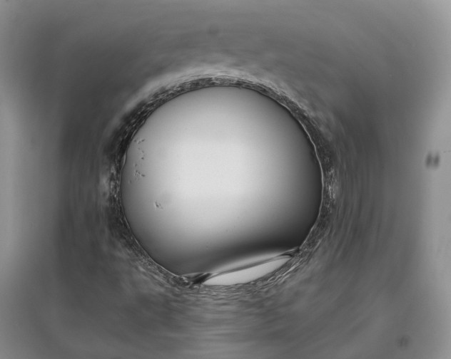 X0000097591495200803141843