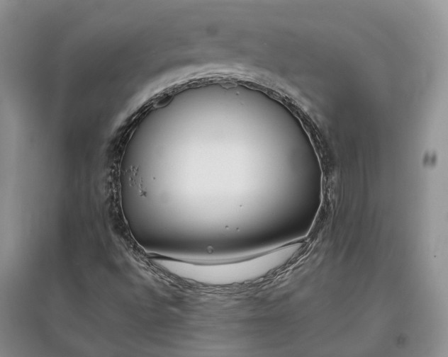 X0000097591496200803141843