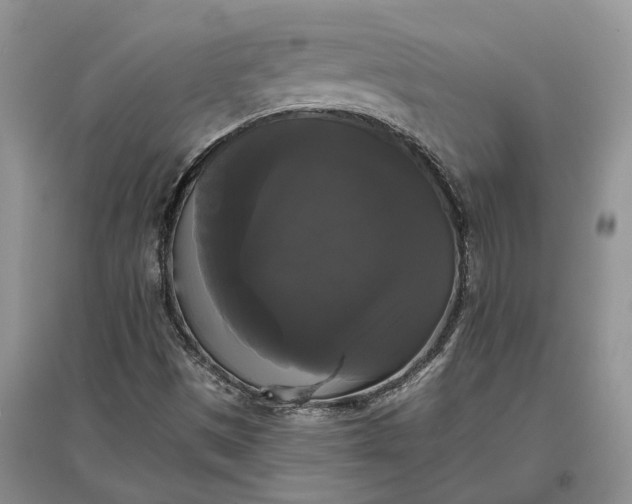 X0000097591497200803141843