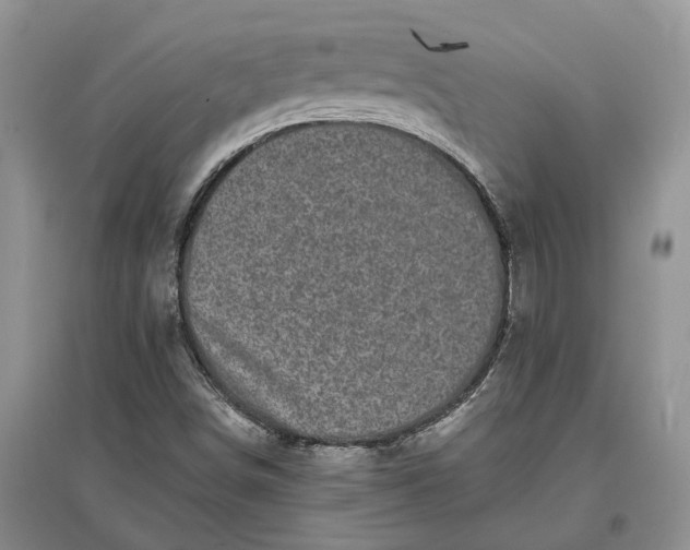 X0000097591498200803141843