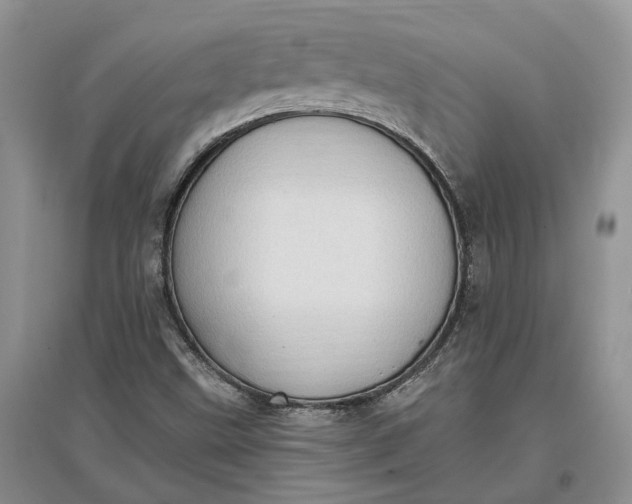 X0000097591499200803141843