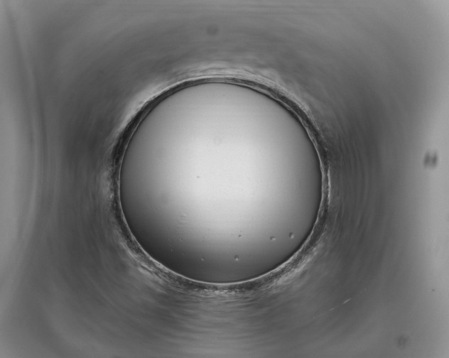 X0000097591501200803141843