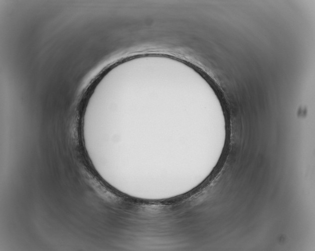 X0000097591502200803141843