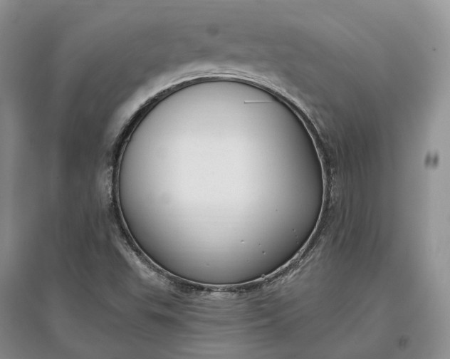 X0000097591503200803141843