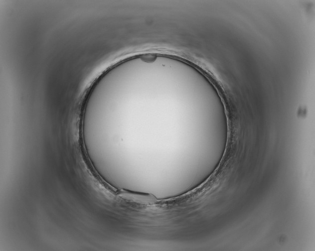 X0000097591504200803141843