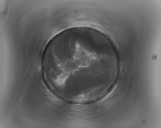 X0000097591505200803141843