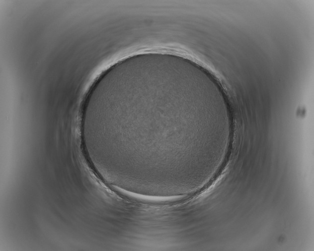 X0000097591506200803141843