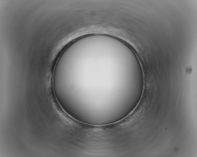 X0000097591507200803141843