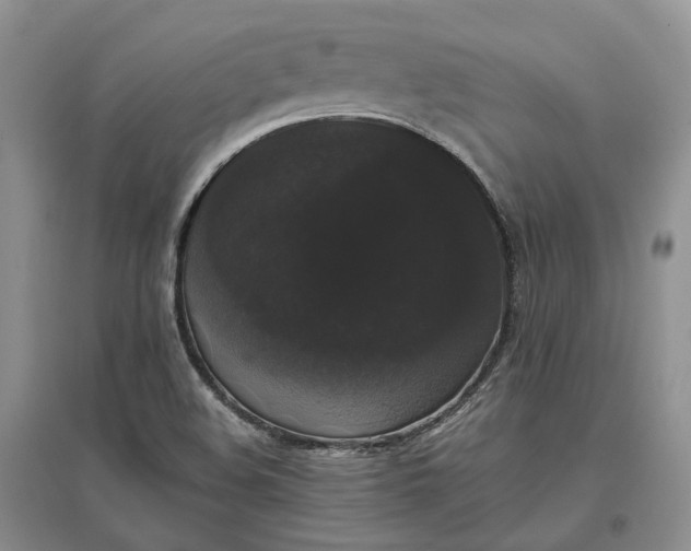 X0000097591508200803141843