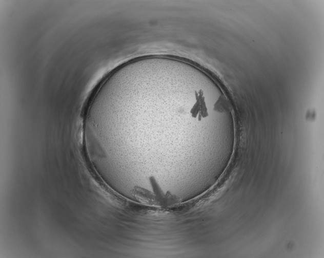 X0000097591509200803141843